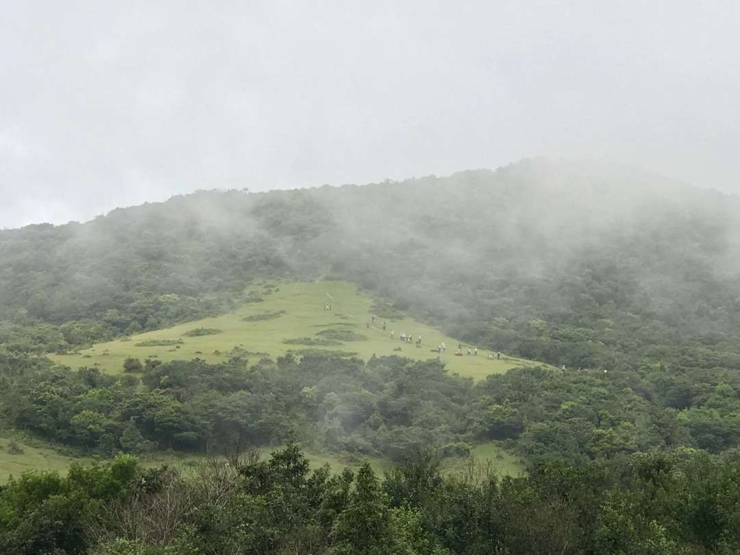 雲霧繚繞的石梯嶺大草原 圖／李若蓁