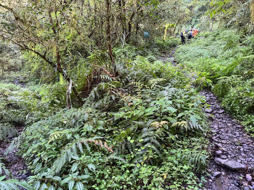 加羅湖山徑溼滑，一開場就是一路陡上