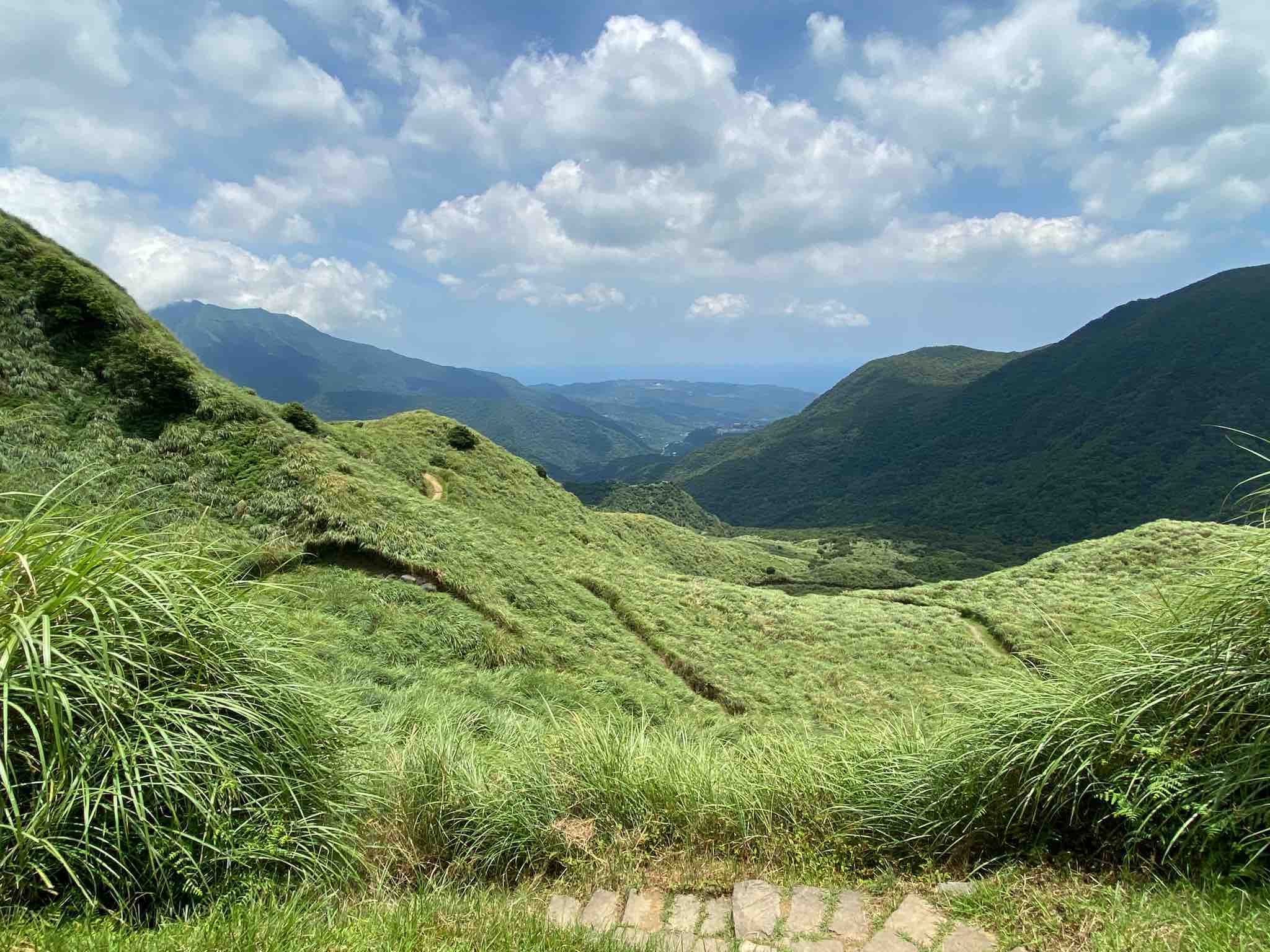 金包里大路的草原風光。圖／joyance 0831