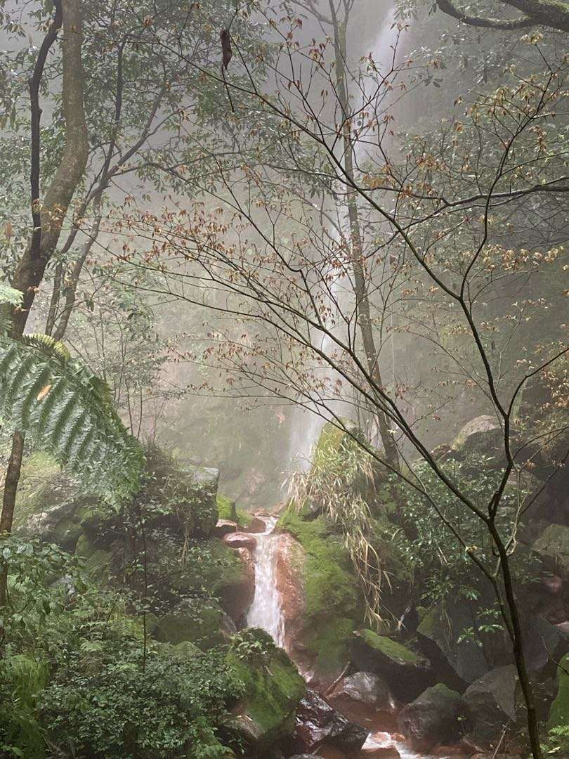 水氣濛濛的絹絲瀑布（圖／Ann 葉）