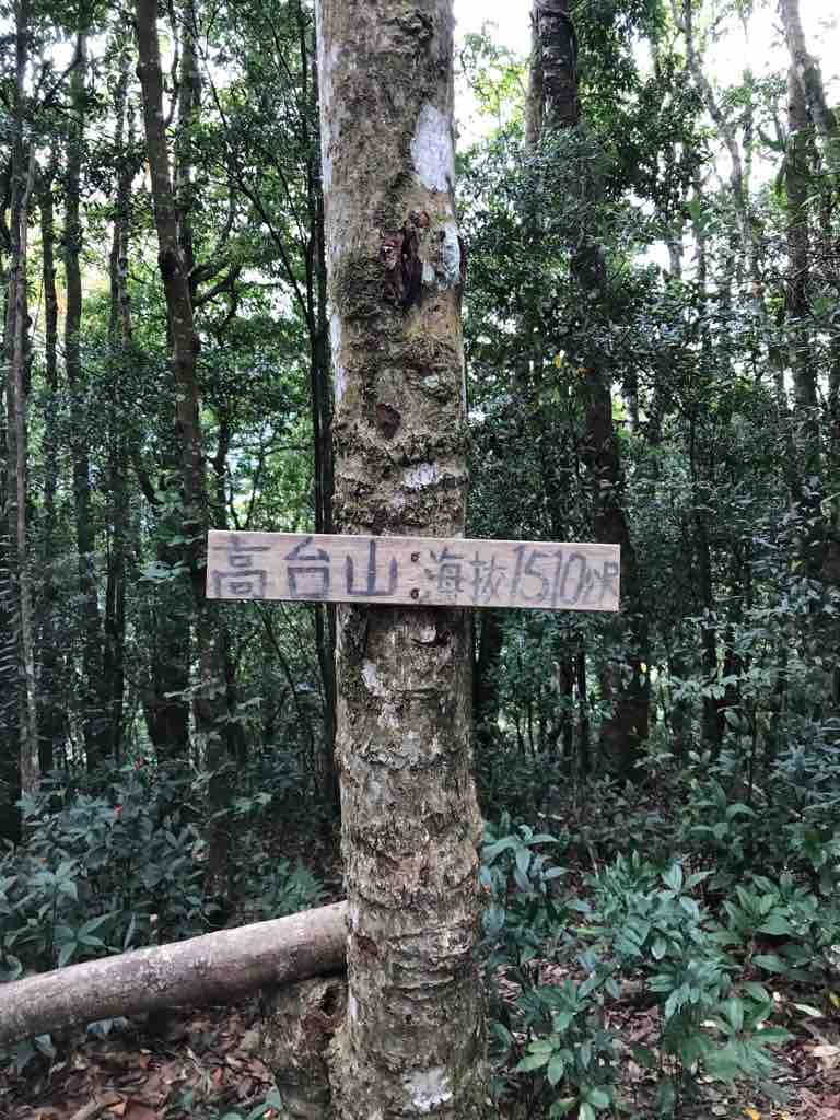高台山海拔 1510 m