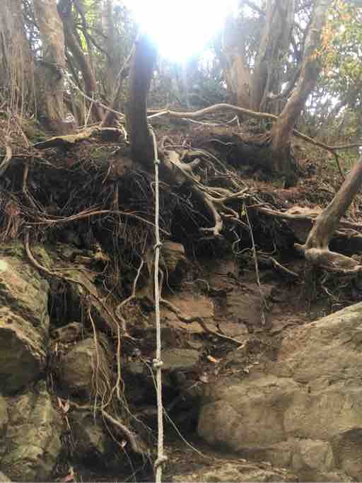 島田連峰部份路段須攀線