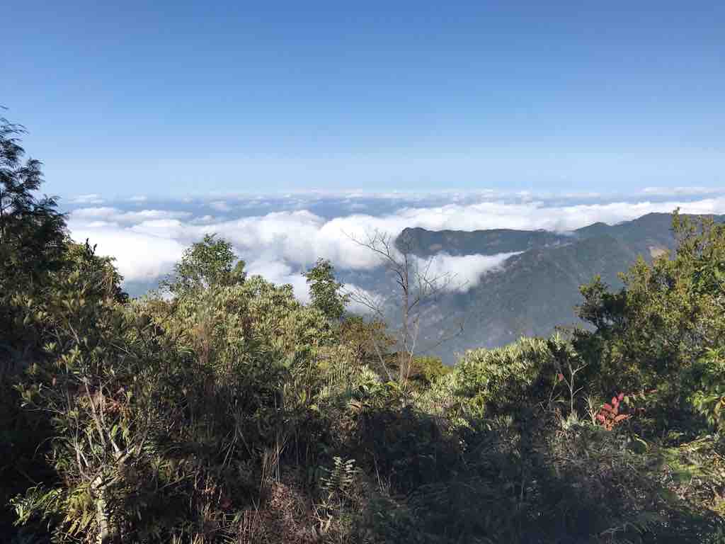 高島觀景台視野開揚