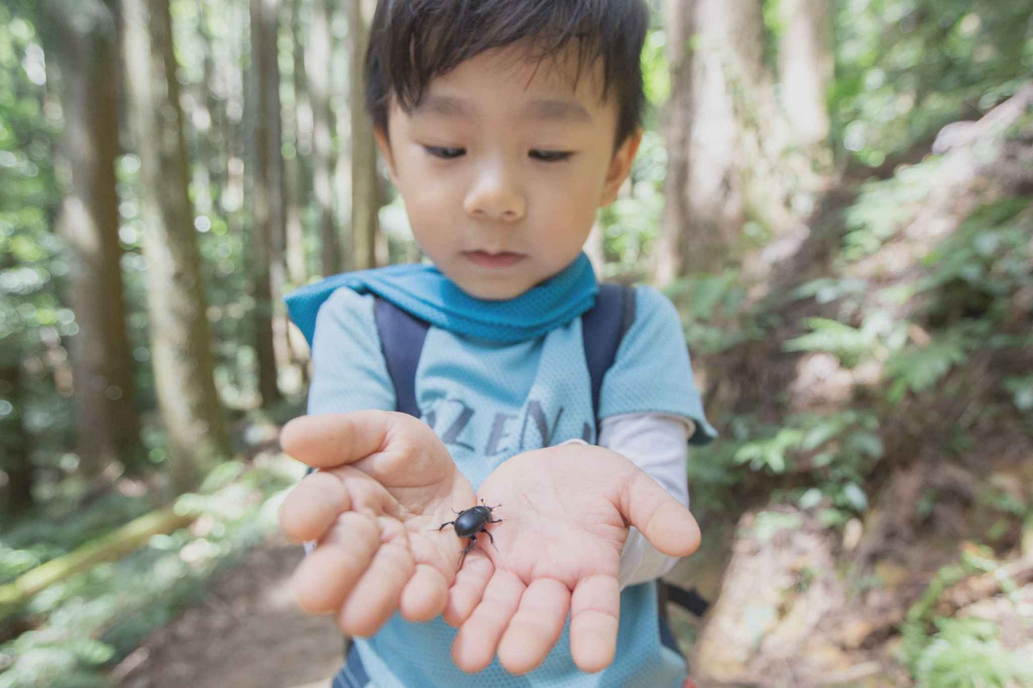 參加點燈夜觀、跟爸爸自行查資料所累積的生態知識，讓小樂總能用正確、不傷害動物的方式，跟牠們互動相處。