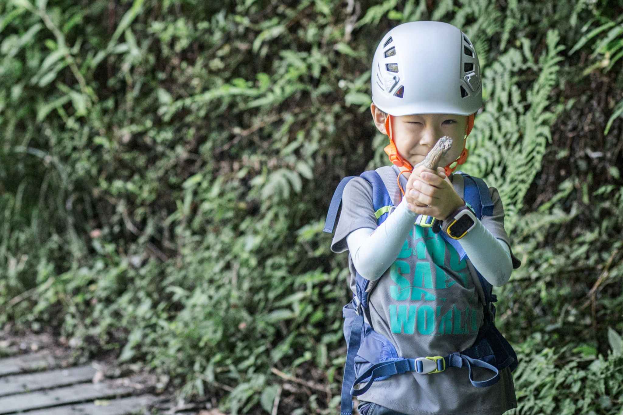 山裡活蹦亂跳的生物、奇形怪狀的石頭、落葉花草，都是小樂的好朋友。