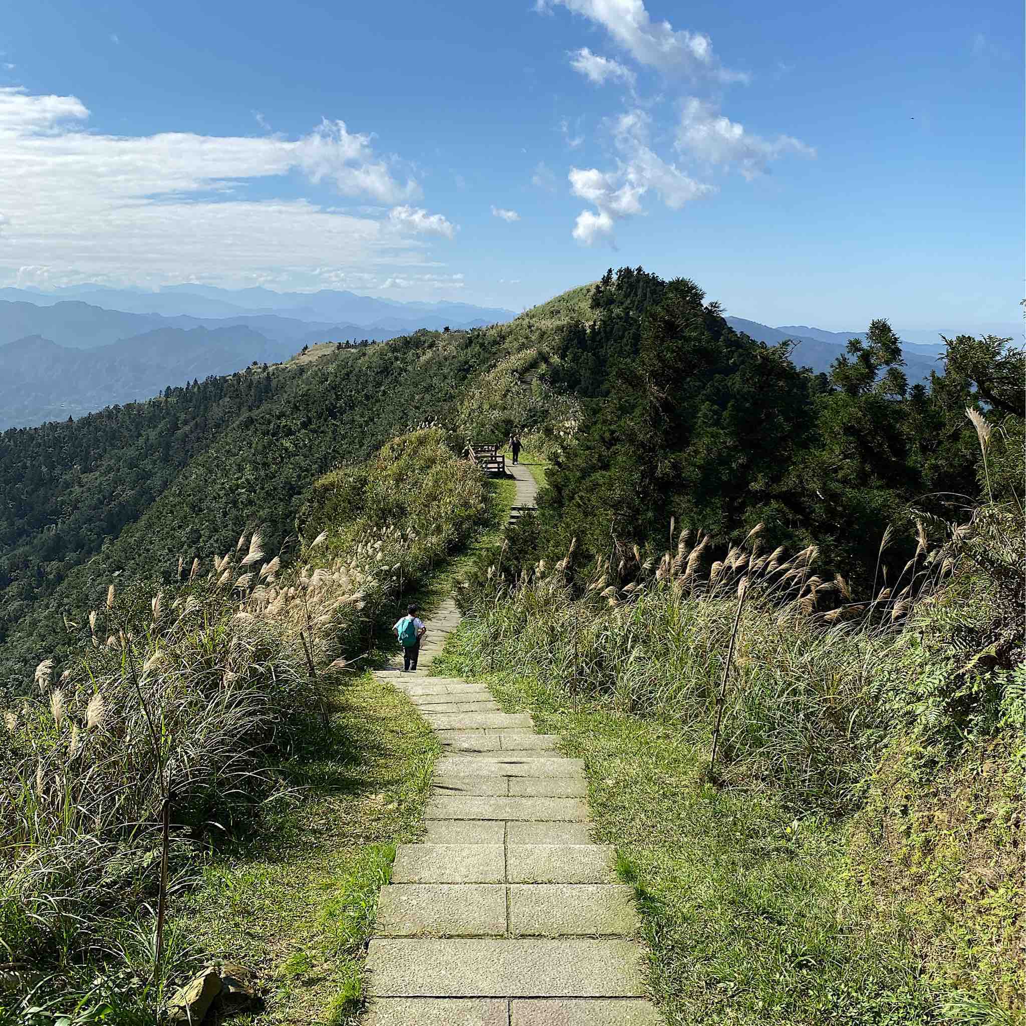 五分山步道石階連綿，山頂視野極好。圖／Jason