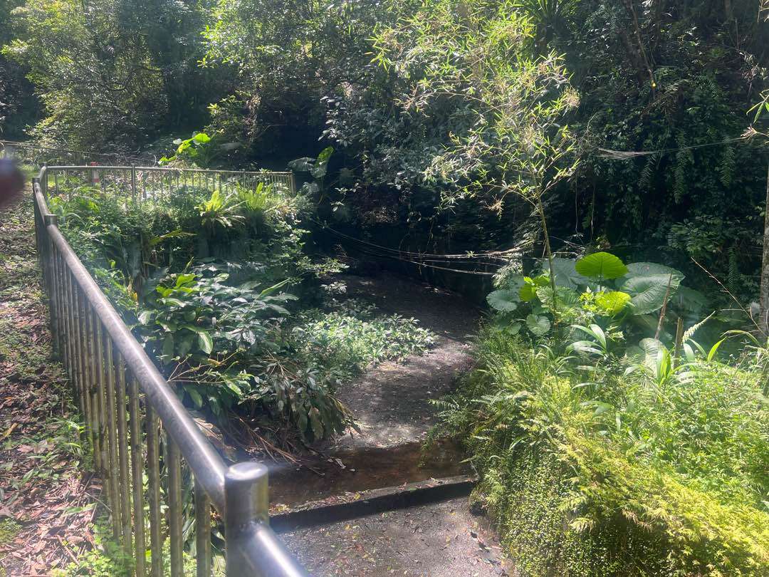 找茶越野沿途野溪。圖／Tsu Yin Chiang