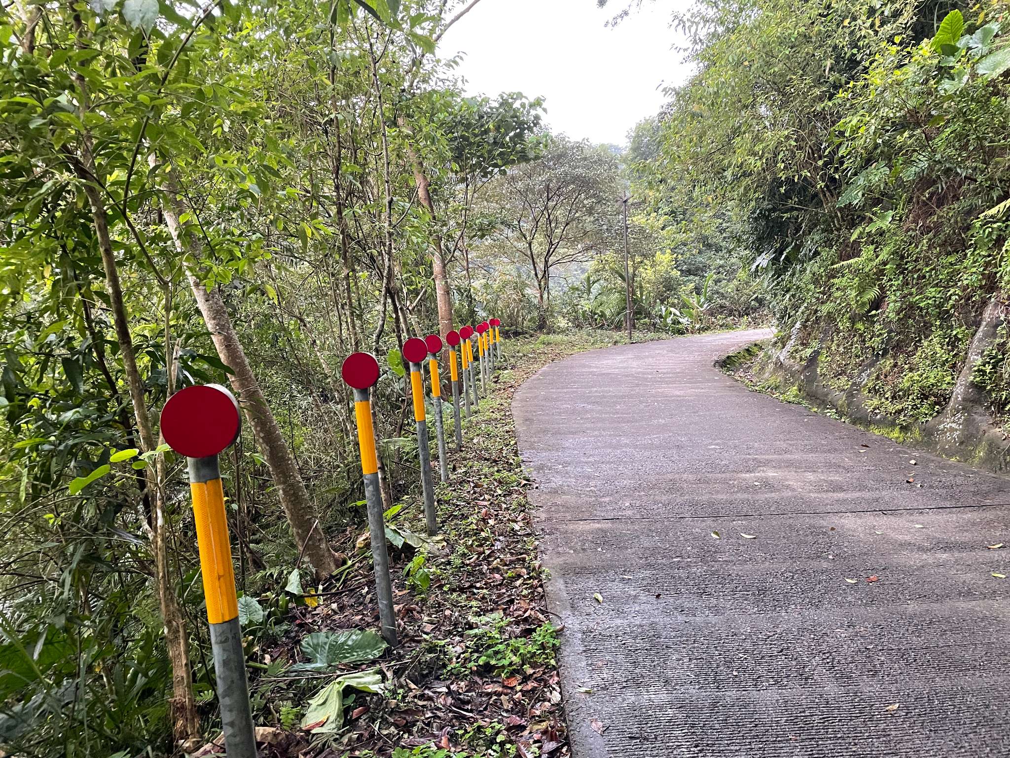 剛開始多為產業道路，平緩好走。