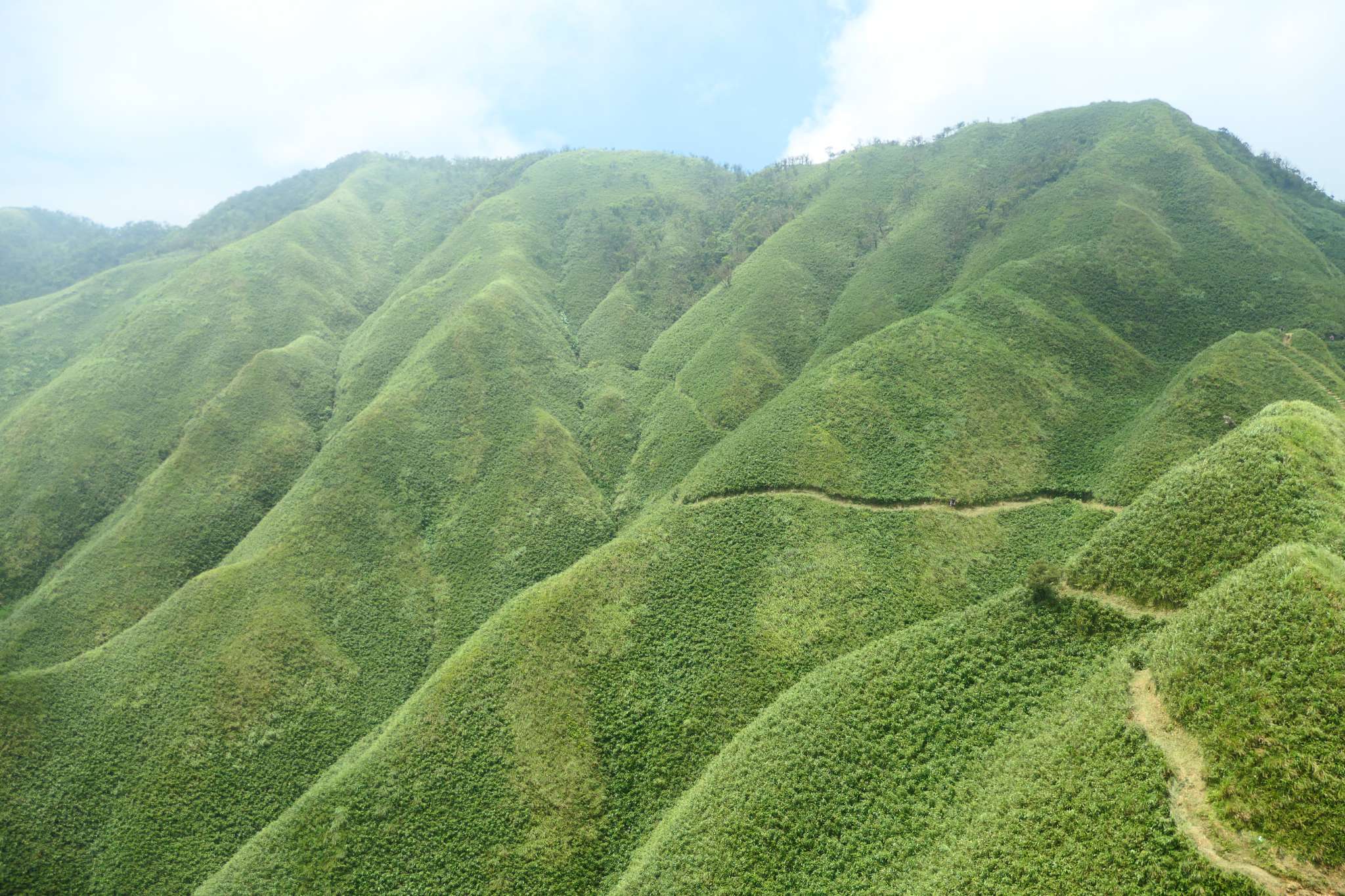 抹茶山