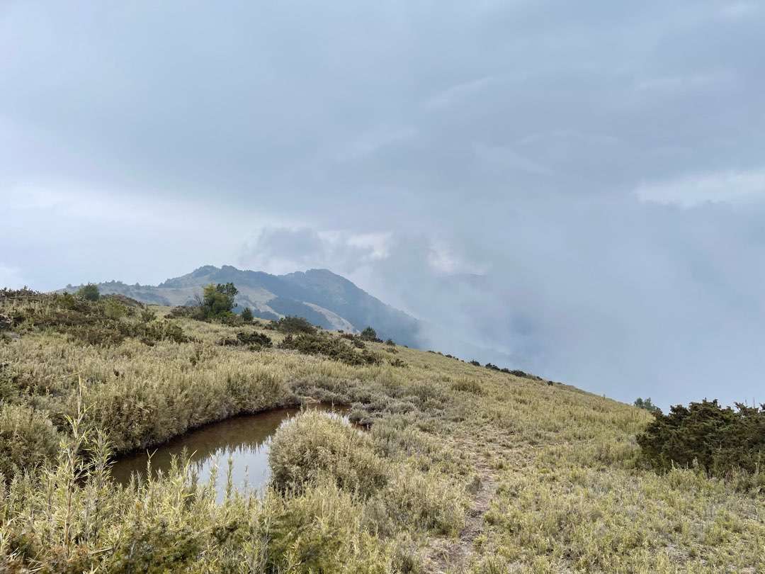 加利山三角點。圖／鄧正光