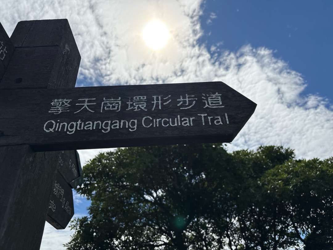 擎天崗環形步道位於魚路古道最高峰的登山步道，沿路可以欣賞許多美景。黃廷彰