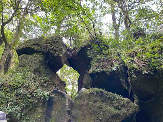 此圖為形狀特殊的恐龍吻石。圖／Li-Hua Yeh