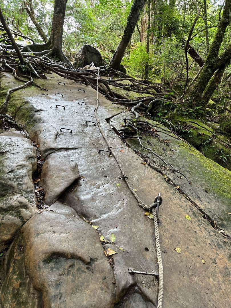 巨石路段。圖／李姚篁