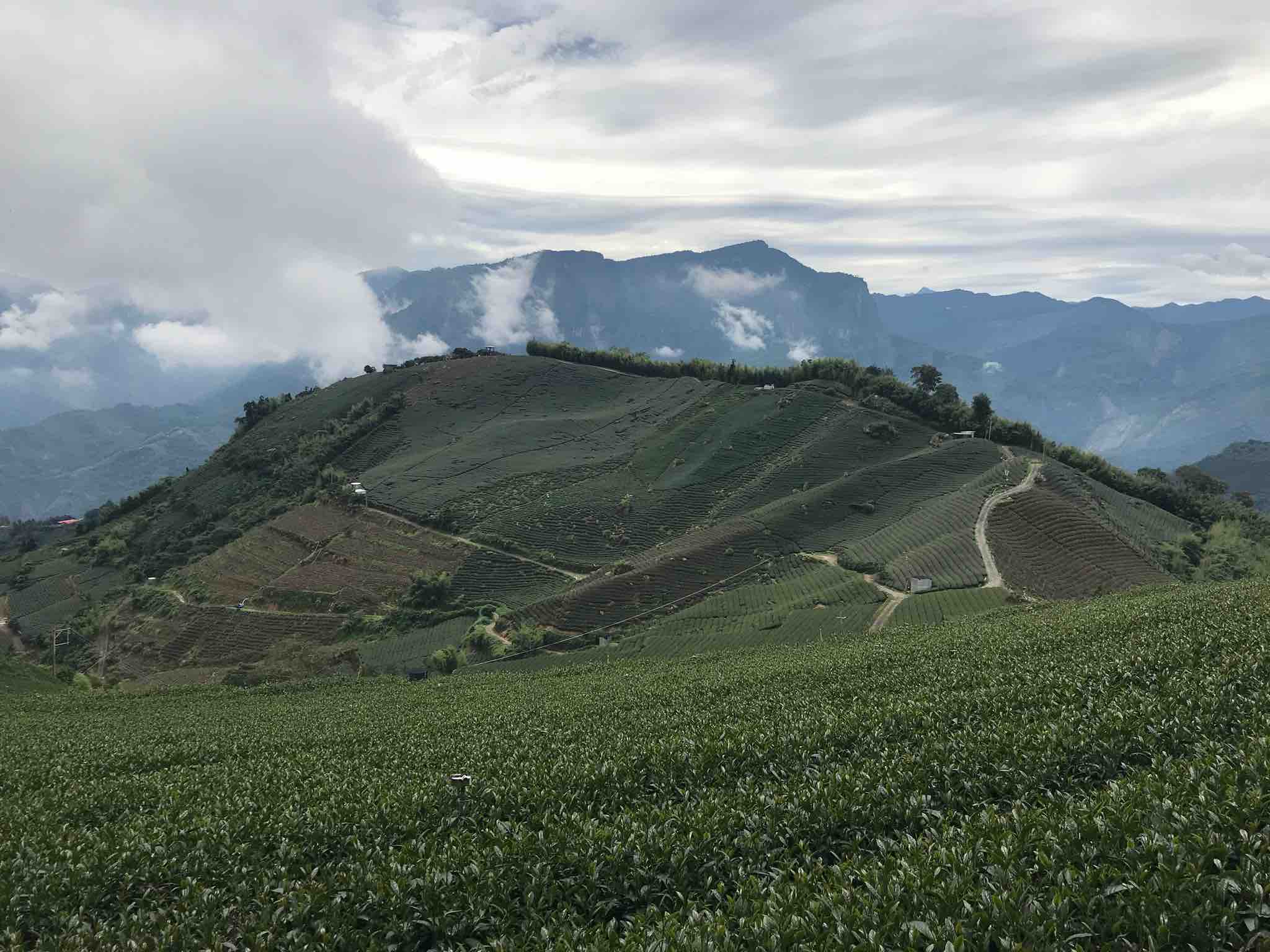 Ruitai Historic Trail Hikingbook